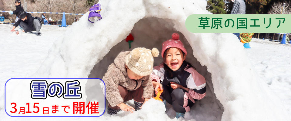 雪の丘好評開催中