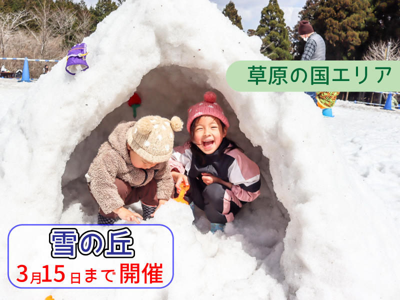 雪の丘好評開催中